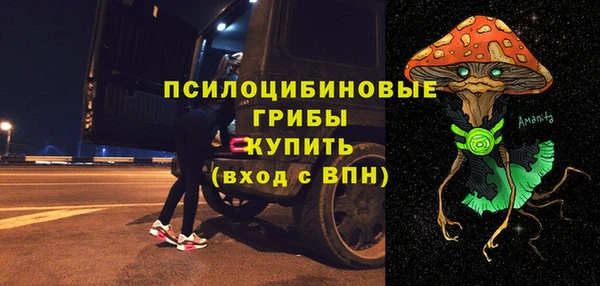 прущая мука Дмитриев