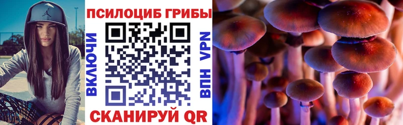 цены наркотик  Ковров  Псилоцибиновые грибы мухоморы 